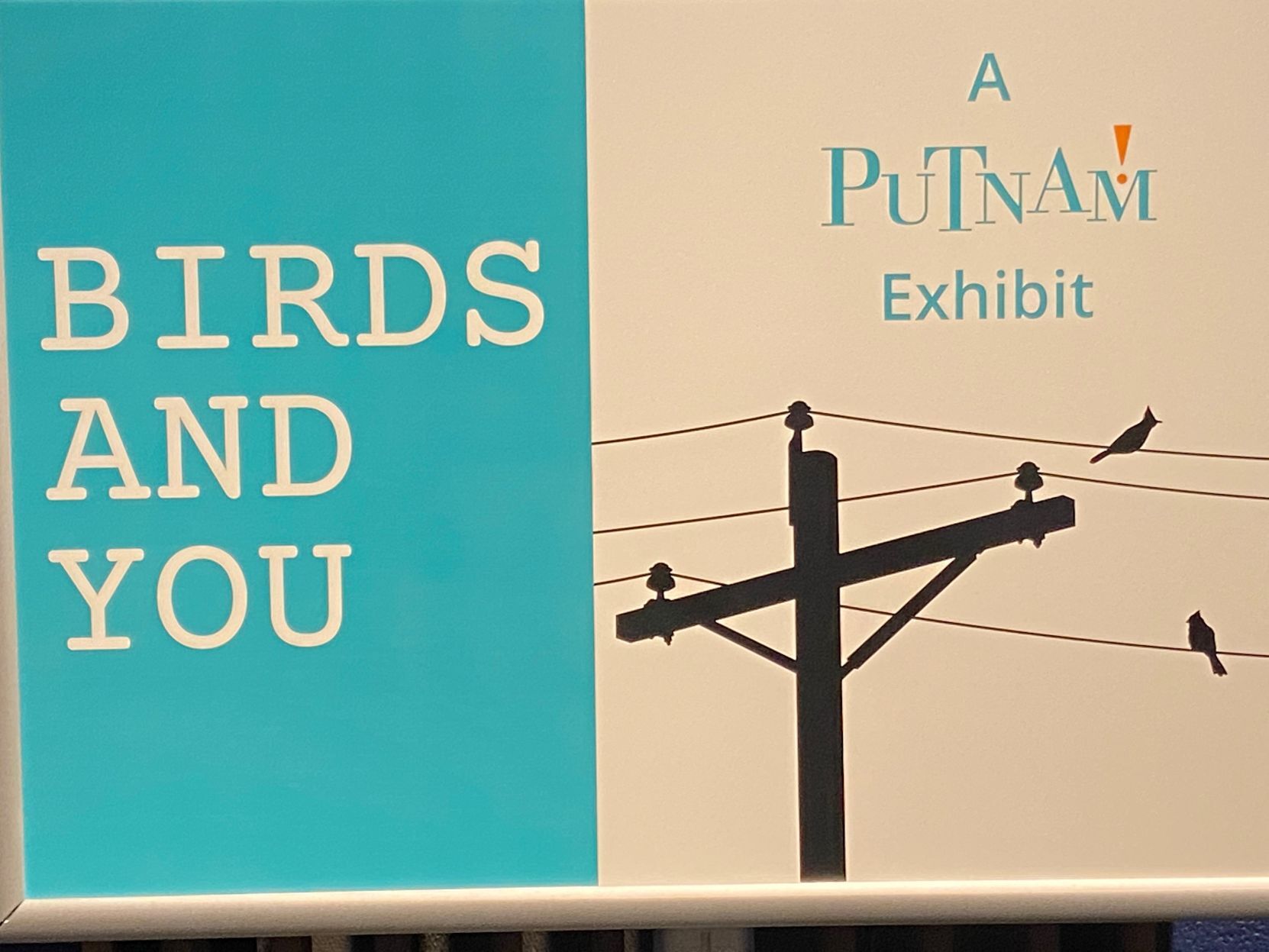 exhibit name